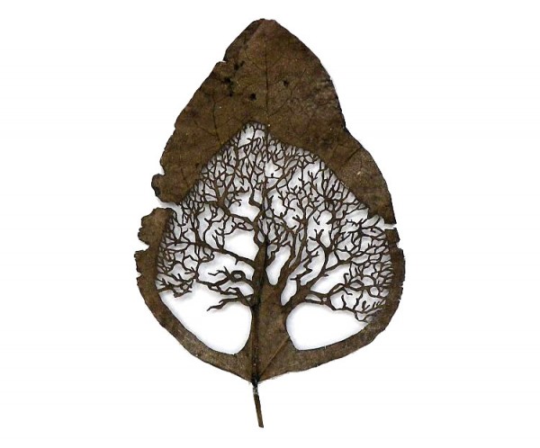Лоренцо Дюран искусство на листьях